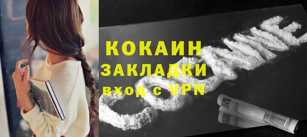 прущие грибы Горнозаводск