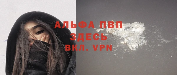 прущие грибы Горнозаводск