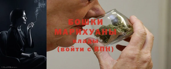 крисы Горняк