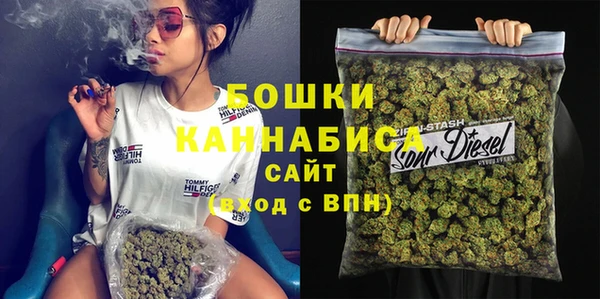 крисы Горняк