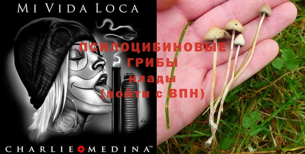 прущий лед Горно-Алтайск