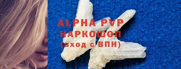 прущие грибы Горнозаводск