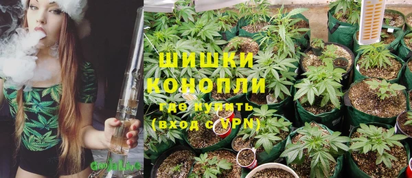 крисы Горняк