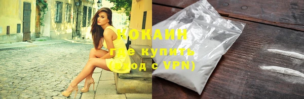 крисы Горняк