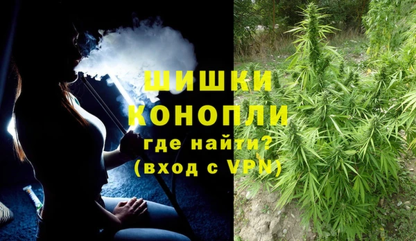 прущие грибы Горнозаводск