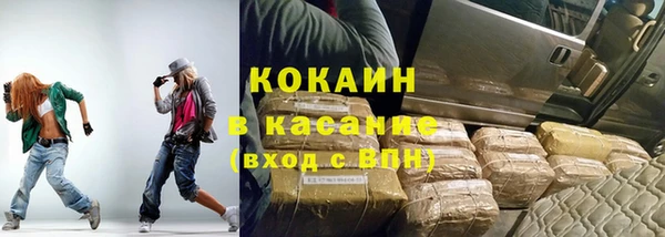 прущие грибы Горнозаводск